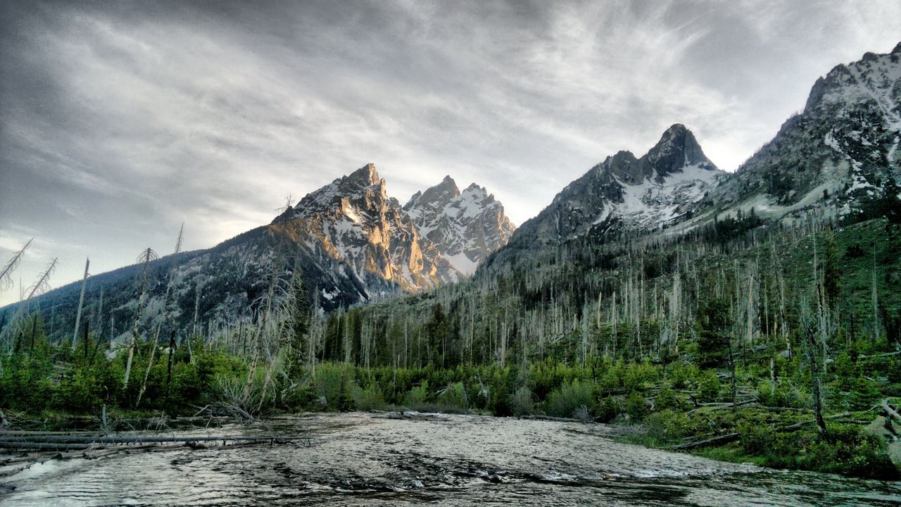 Wallpaper river, wood, mountains, trees, dead, colors