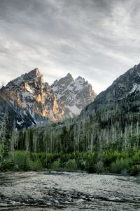 Preview wallpaper river, wood, mountains, trees, dead, colors