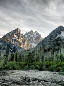 Preview wallpaper river, wood, mountains, trees, dead, colors