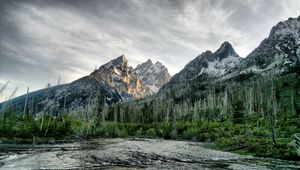 Preview wallpaper river, wood, mountains, trees, dead, colors