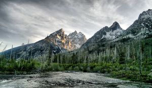 Preview wallpaper river, wood, mountains, trees, dead, colors