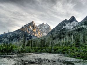 Preview wallpaper river, wood, mountains, trees, dead, colors