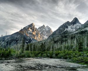 Preview wallpaper river, wood, mountains, trees, dead, colors