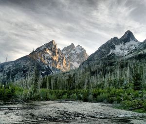 Preview wallpaper river, wood, mountains, trees, dead, colors