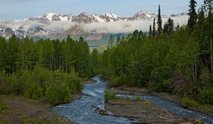 Preview wallpaper river, wood, mountains, fog, clouds, green, murmur