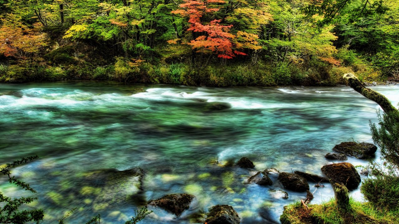 Wallpaper river, wood, stream, colors, stones, moss, transparent, water