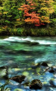 Preview wallpaper river, wood, stream, colors, stones, moss, transparent, water