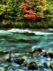 Preview wallpaper river, wood, stream, colors, stones, moss, transparent, water