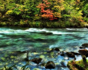 Preview wallpaper river, wood, stream, colors, stones, moss, transparent, water