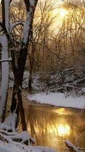 Preview wallpaper river, wood, winter, sun, reflection