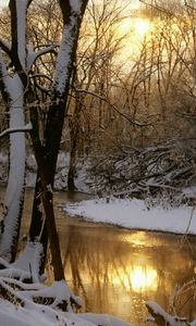 Preview wallpaper river, wood, winter, sun, reflection