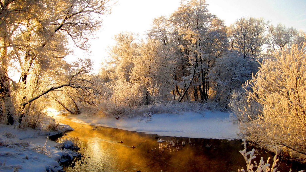 Wallpaper river, wood, winter, hoarfrost, gray hair, light, reflection, orange