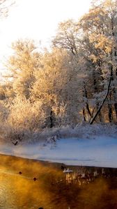 Preview wallpaper river, wood, winter, hoarfrost, gray hair, light, reflection, orange