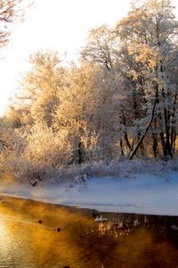 Preview wallpaper river, wood, winter, hoarfrost, gray hair, light, reflection, orange