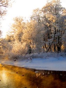 Preview wallpaper river, wood, winter, hoarfrost, gray hair, light, reflection, orange