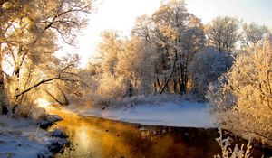 Preview wallpaper river, wood, winter, hoarfrost, gray hair, light, reflection, orange