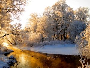 Preview wallpaper river, wood, winter, hoarfrost, gray hair, light, reflection, orange