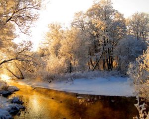 Preview wallpaper river, wood, winter, hoarfrost, gray hair, light, reflection, orange