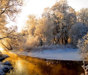 Preview wallpaper river, wood, winter, hoarfrost, gray hair, light, reflection, orange