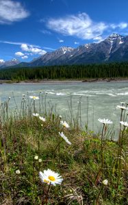 Preview wallpaper rivers of canada, parks, landscape, daisies, mountains, vermilion kootenay, nature