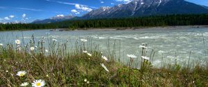 Preview wallpaper rivers of canada, parks, landscape, daisies, mountains, vermilion kootenay, nature