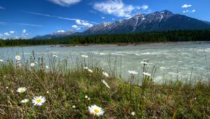 Preview wallpaper rivers of canada, parks, landscape, daisies, mountains, vermilion kootenay, nature