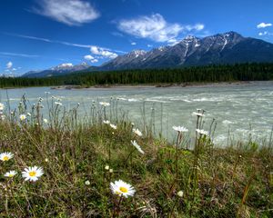 Preview wallpaper rivers of canada, parks, landscape, daisies, mountains, vermilion kootenay, nature