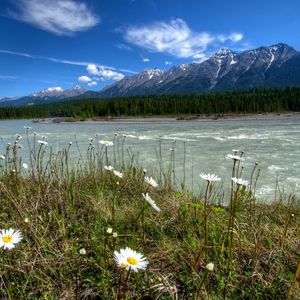 Preview wallpaper rivers of canada, parks, landscape, daisies, mountains, vermilion kootenay, nature