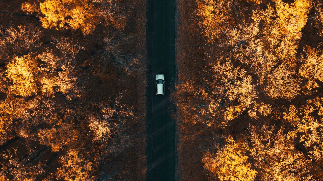 Wallpaper road, aerial view, autumn, trees, car, forest, below