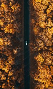 Preview wallpaper road, aerial view, autumn, trees, car, forest, below