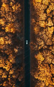 Preview wallpaper road, aerial view, autumn, trees, car, forest, below