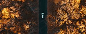 Preview wallpaper road, aerial view, autumn, trees, car, forest, below