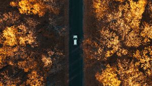 Preview wallpaper road, aerial view, autumn, trees, car, forest, below