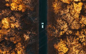 Preview wallpaper road, aerial view, autumn, trees, car, forest, below