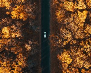 Preview wallpaper road, aerial view, autumn, trees, car, forest, below