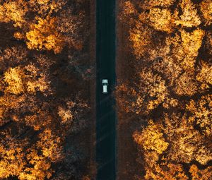 Preview wallpaper road, aerial view, autumn, trees, car, forest, below