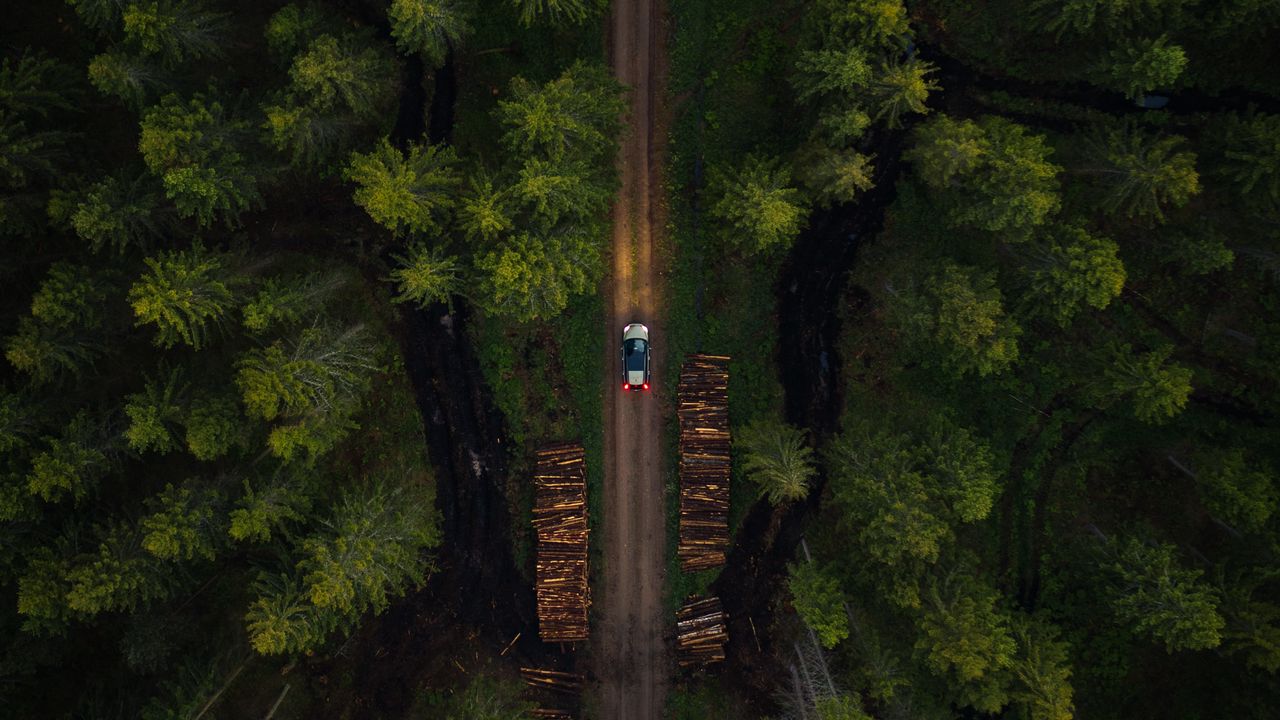 Wallpaper road, aerial view, car, forest, trees