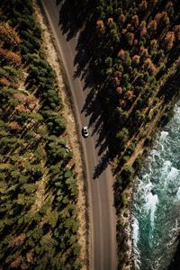 Preview wallpaper road, аerial view, distance, trees, forest, travel