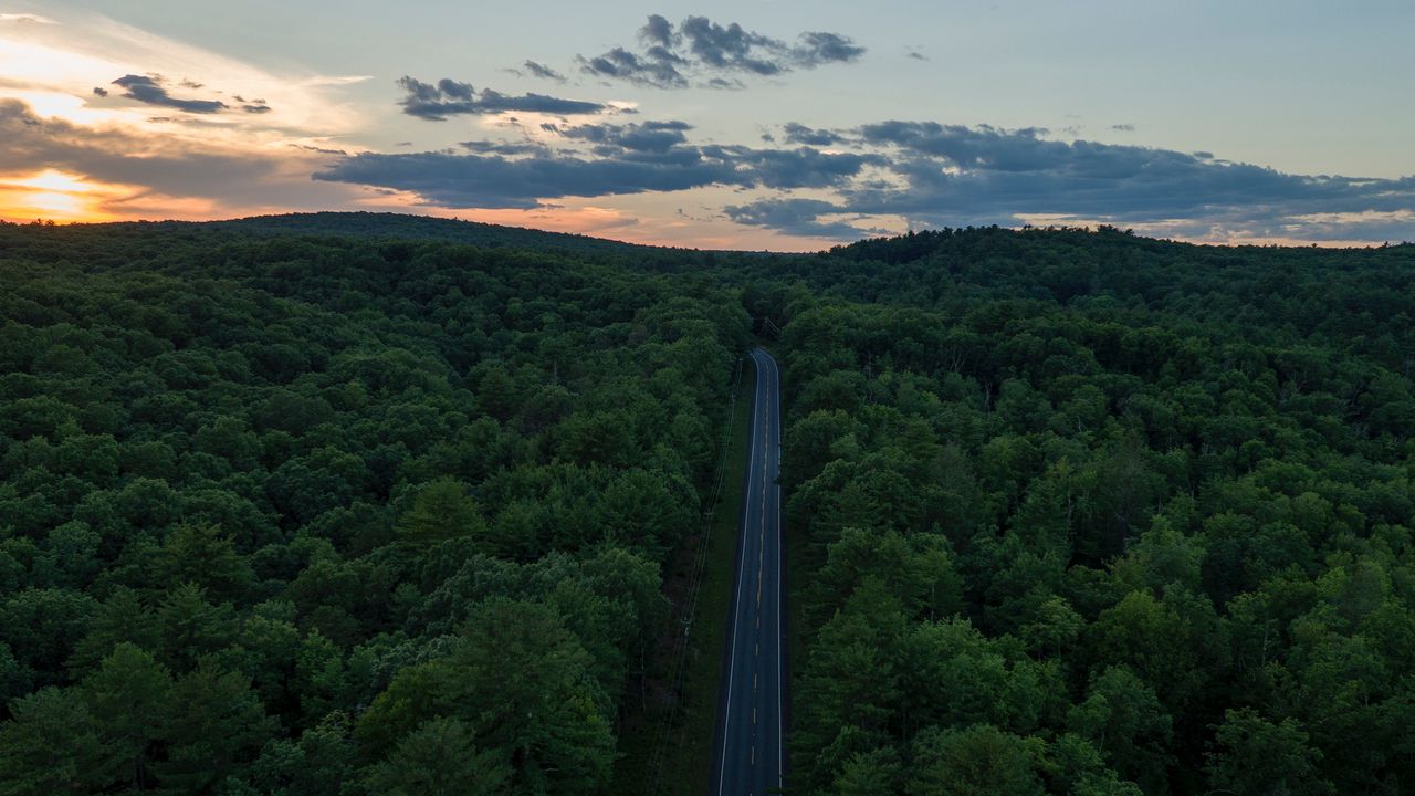 Wallpaper road, aerial view, forest, horizon, sunset