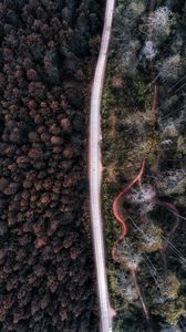 Preview wallpaper road, aerial view, forest, trees, indonesia