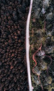 Preview wallpaper road, aerial view, forest, trees, indonesia