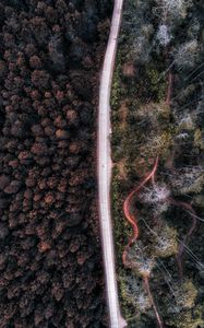 Preview wallpaper road, aerial view, forest, trees, indonesia