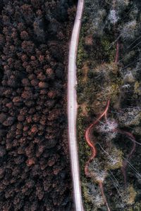 Preview wallpaper road, aerial view, forest, trees, indonesia