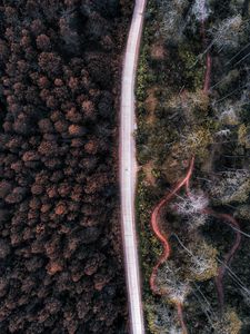 Preview wallpaper road, aerial view, forest, trees, indonesia