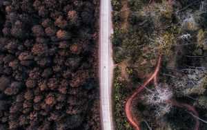 Preview wallpaper road, aerial view, forest, trees, indonesia