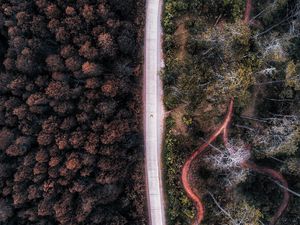 Preview wallpaper road, aerial view, forest, trees, indonesia