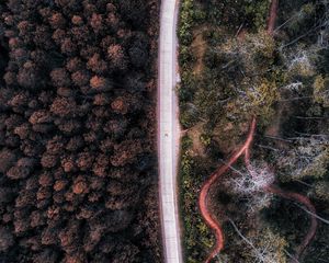 Preview wallpaper road, aerial view, forest, trees, indonesia