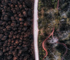 Preview wallpaper road, aerial view, forest, trees, indonesia