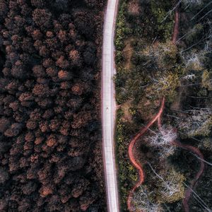 Preview wallpaper road, aerial view, forest, trees, indonesia