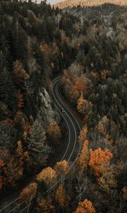 Preview wallpaper road, aerial view, forest, autumn, movement